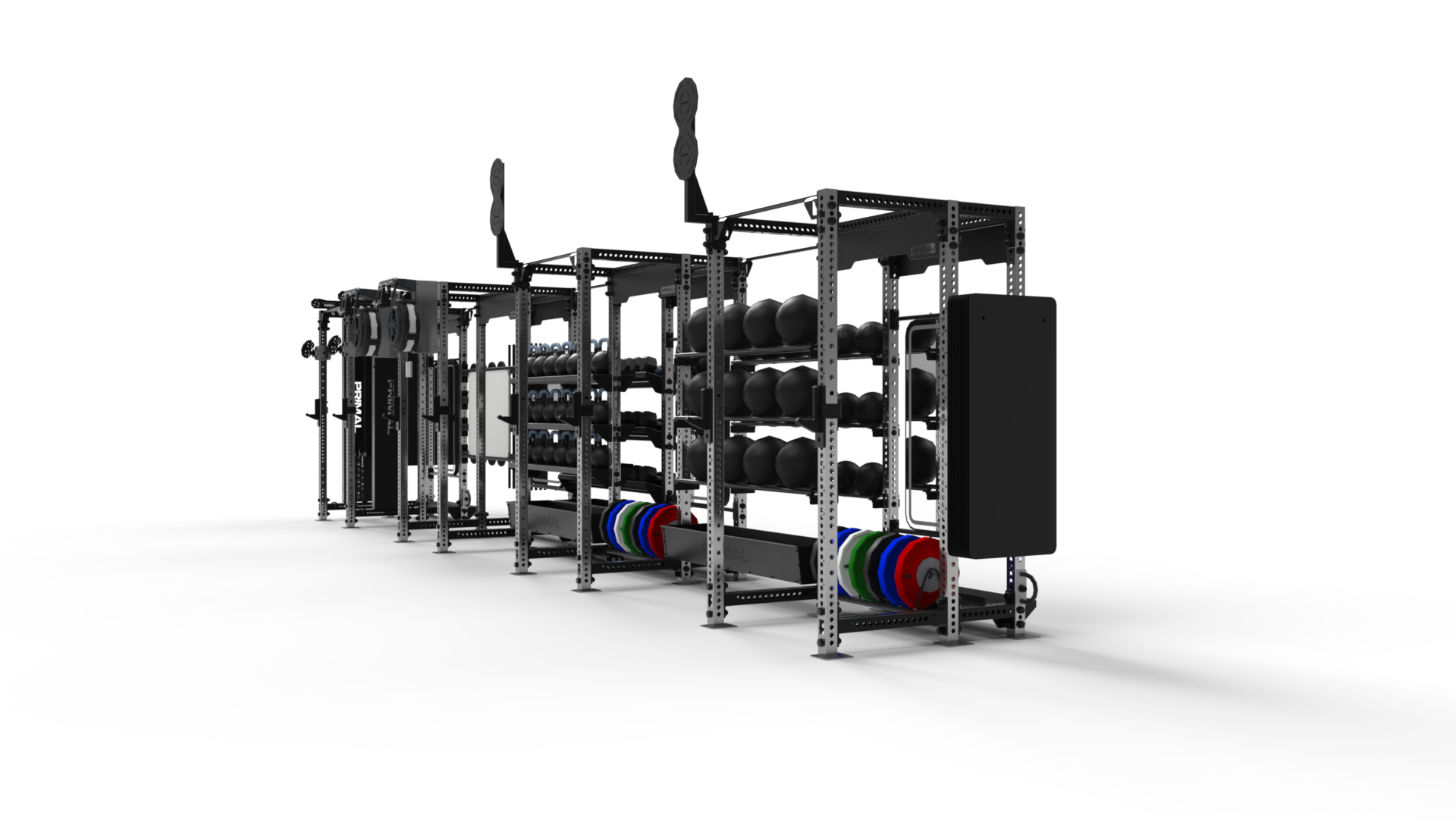 Functional training rig, view 1